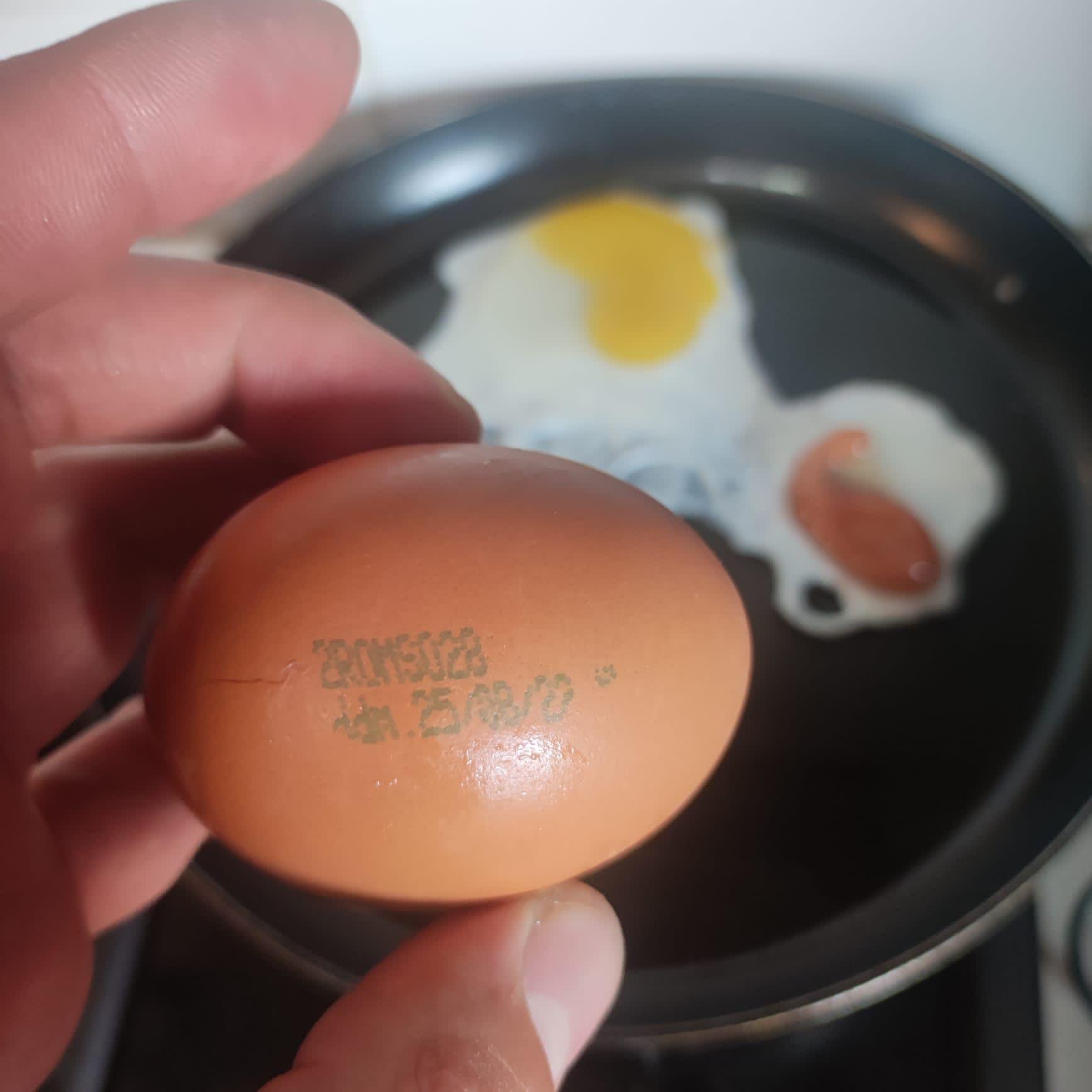 WhatsApp Image 2022-08-04 at 15.46.58 (1).jpeg