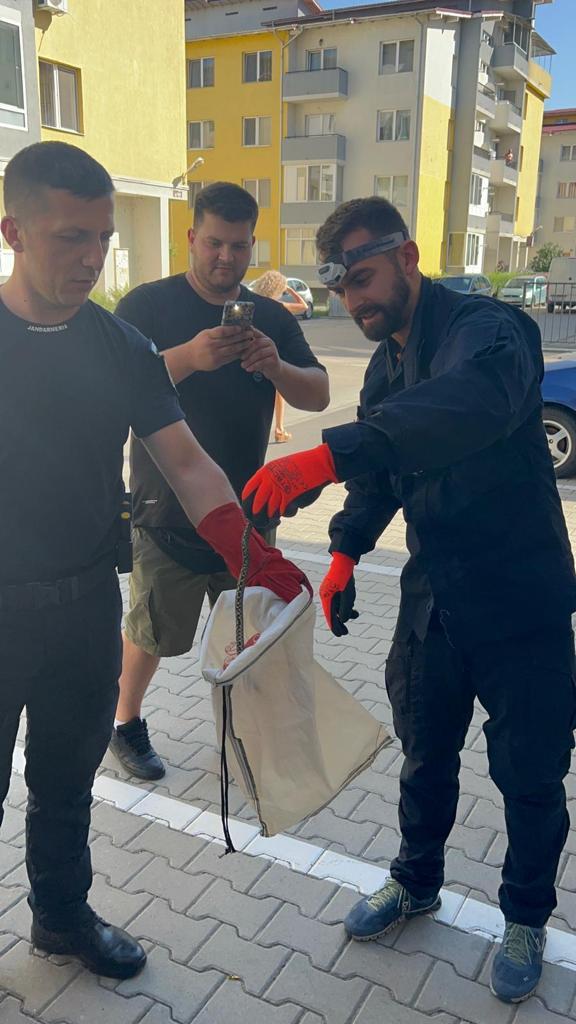 WhatsApp Image 2022-08-26 at 18.22.03.jpeg