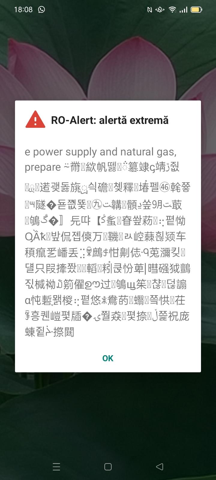 WhatsApp Image 2022-08-23 at 18.40.56.jpeg