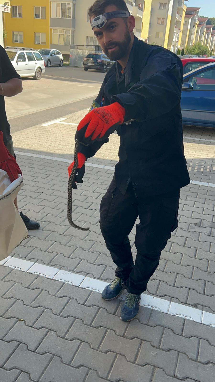 WhatsApp Image 2022-08-26 at 17.58.21.jpeg