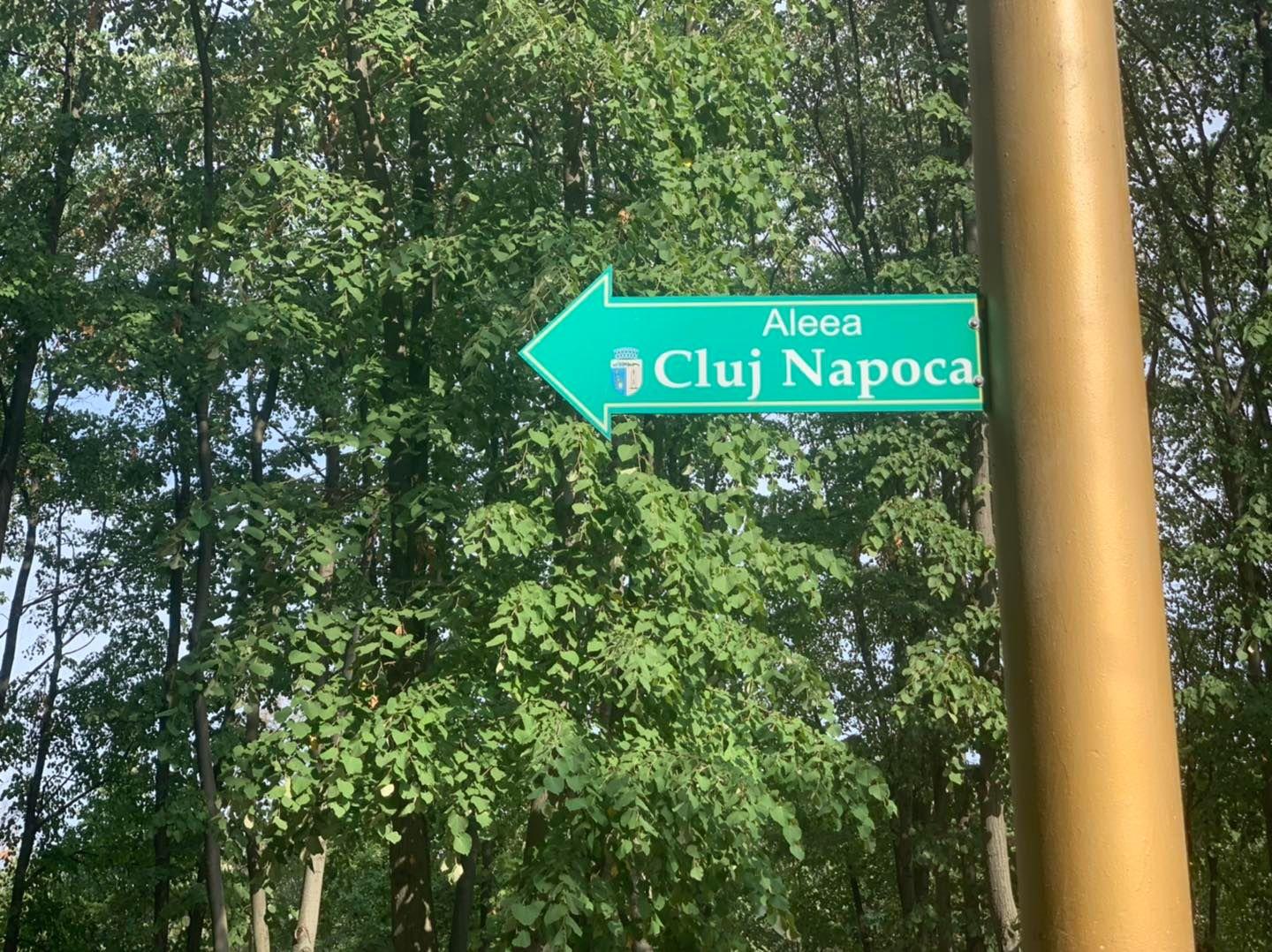 micul cluj 4.jpg