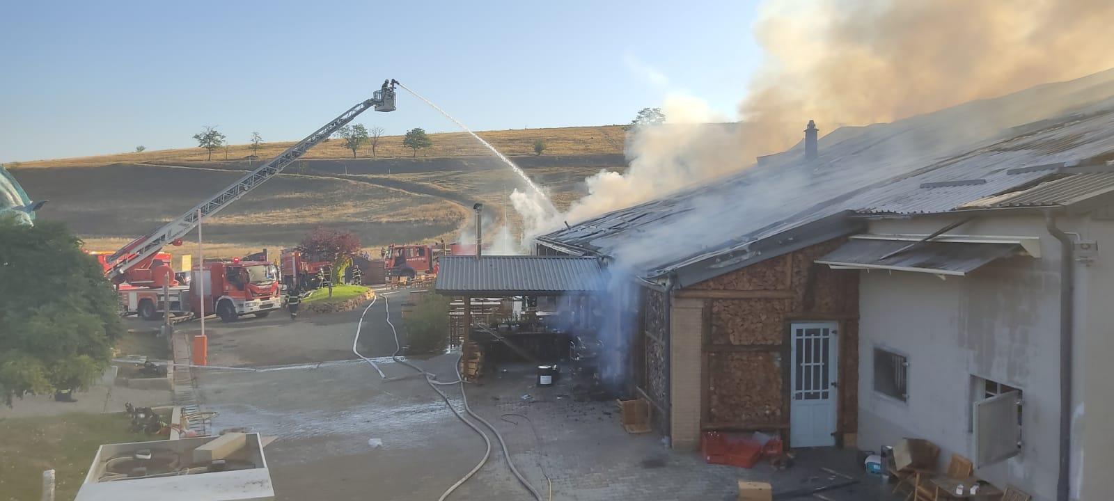 WhatsApp Image 2022-08-19 at 08.21.18.jpeg