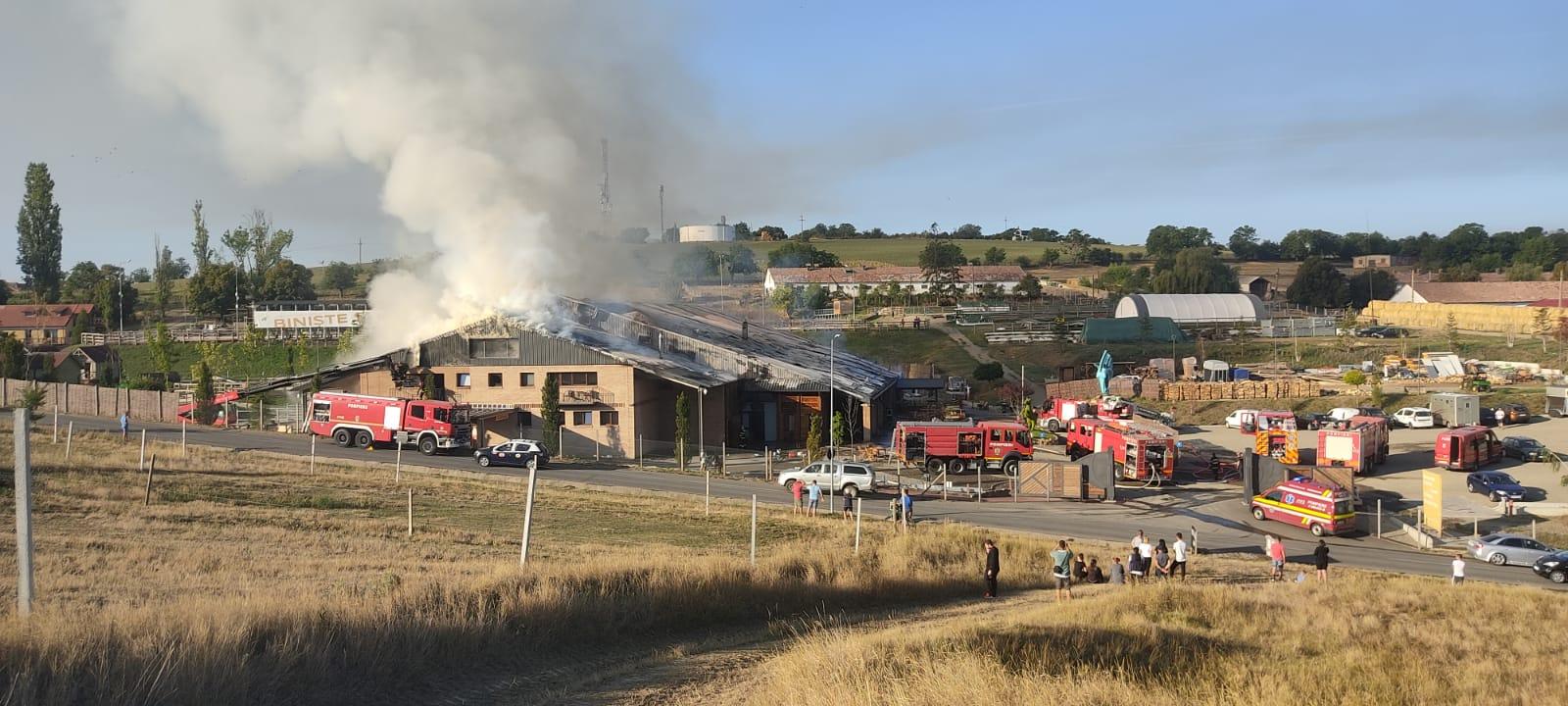 WhatsApp Image 2022-08-19 at 08.21.17.jpeg