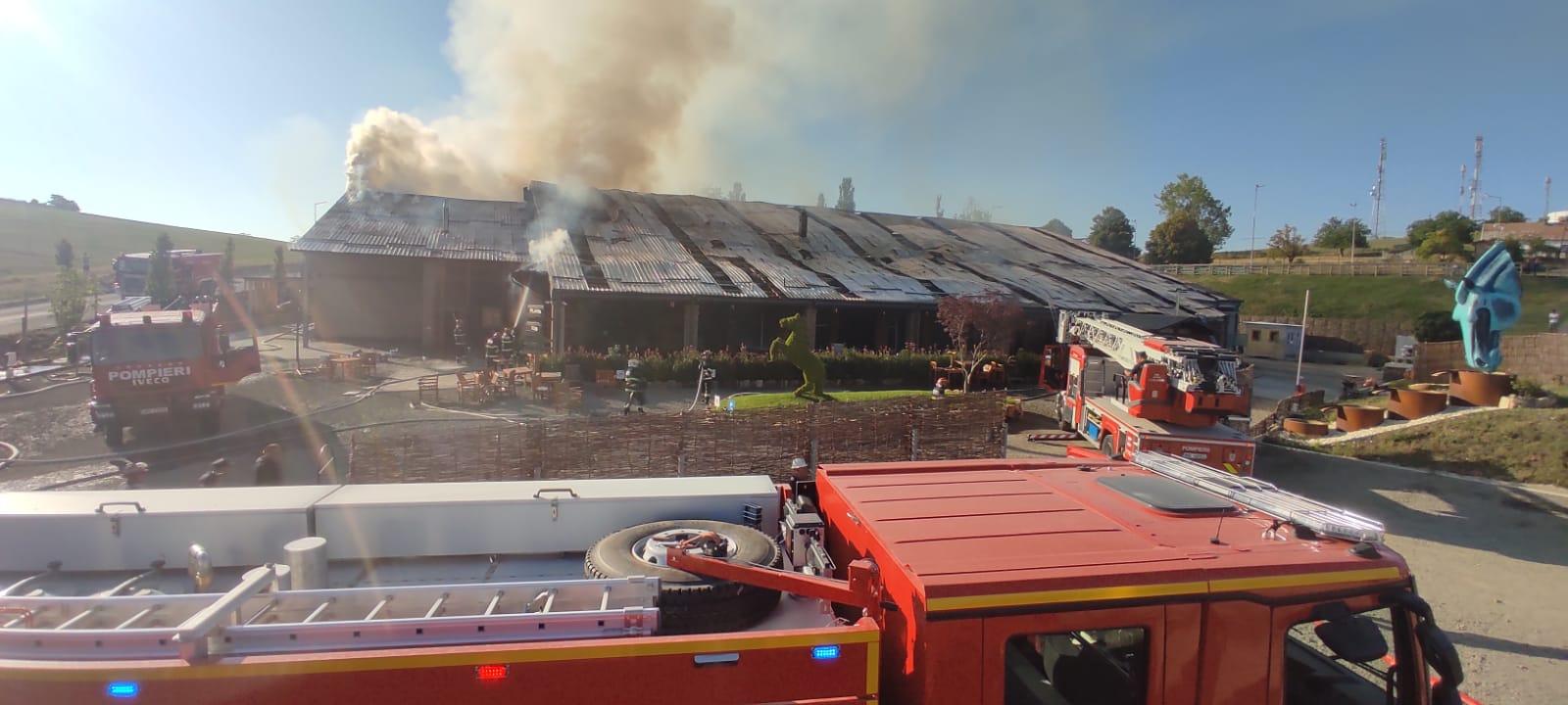 WhatsApp Image 2022-08-19 at 10.27.32.jpeg