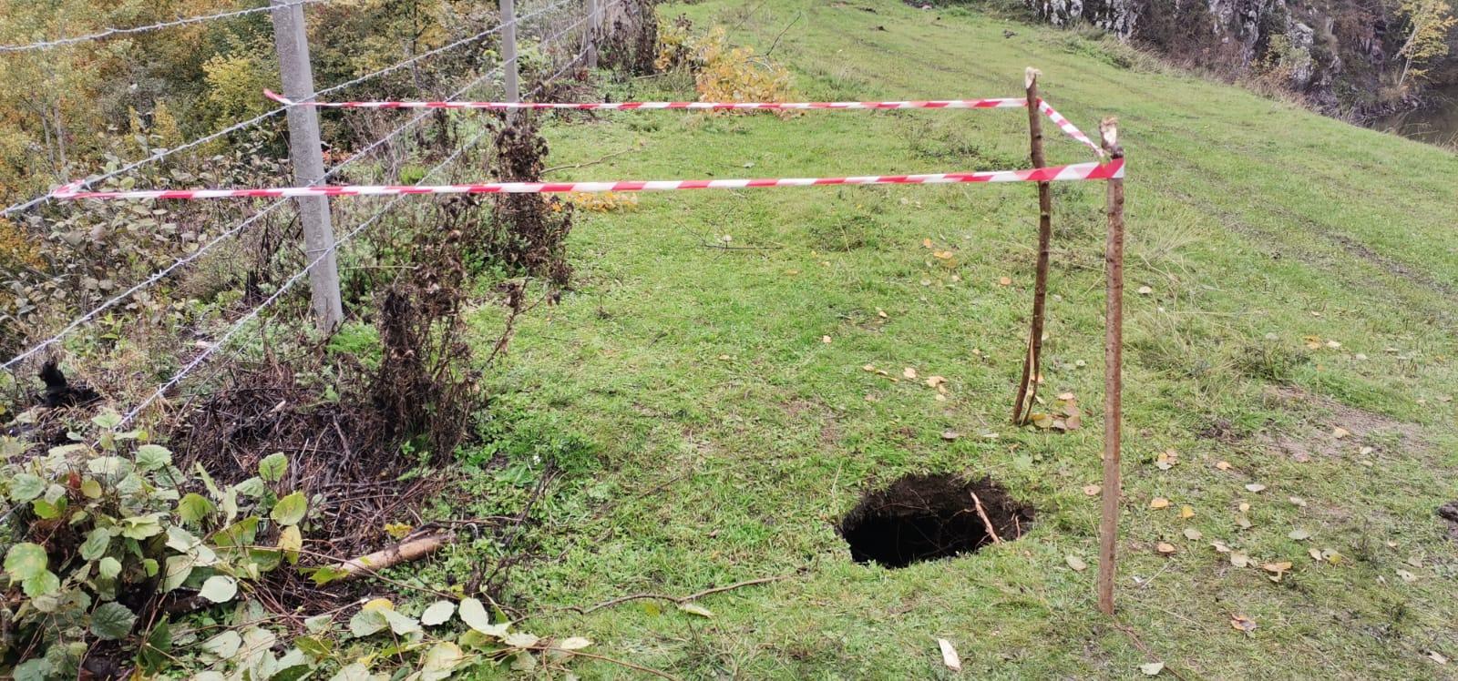 WhatsApp Image 2022-10-02 at 09.10.25.jpeg