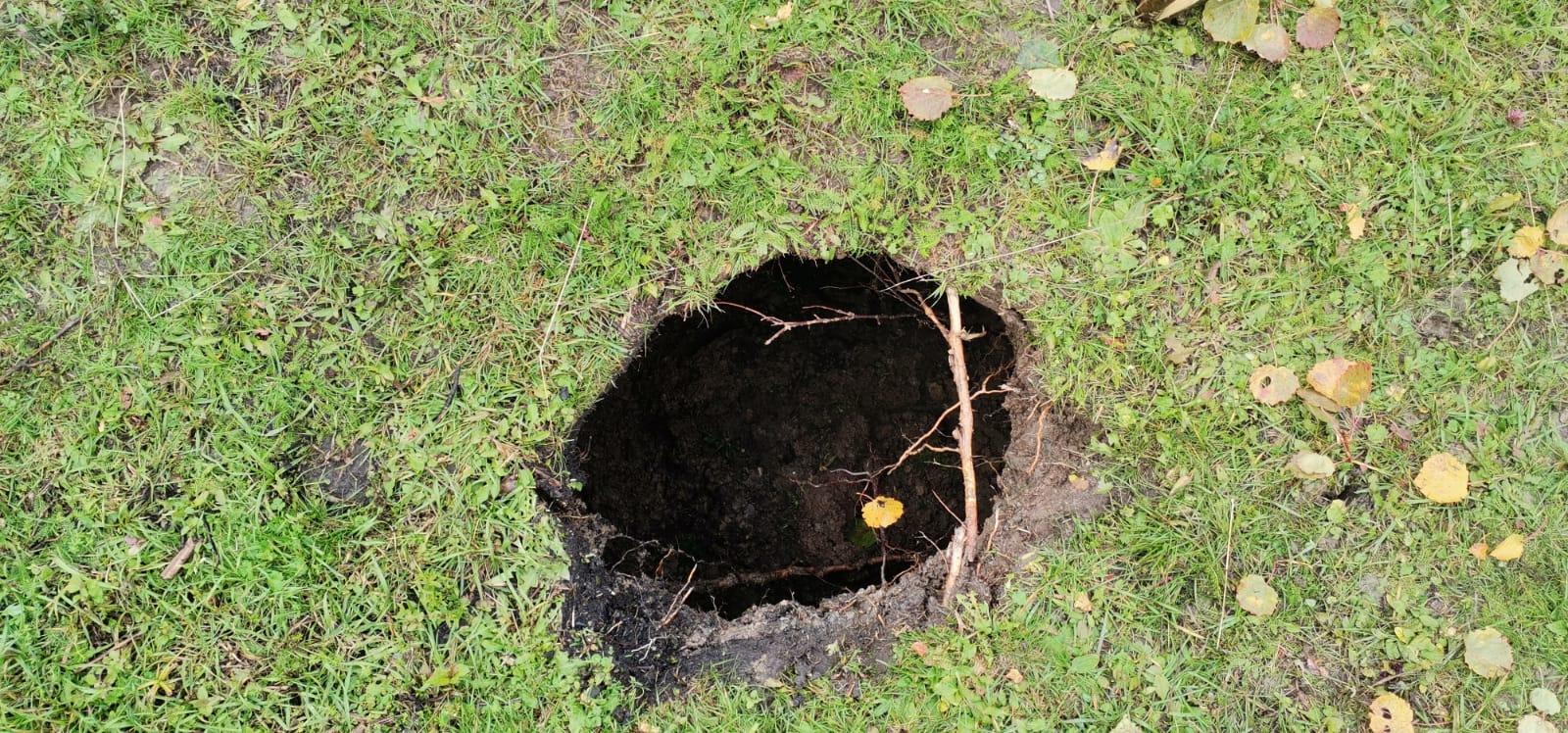 WhatsApp Image 2022-10-02 at 09.10.26.jpeg