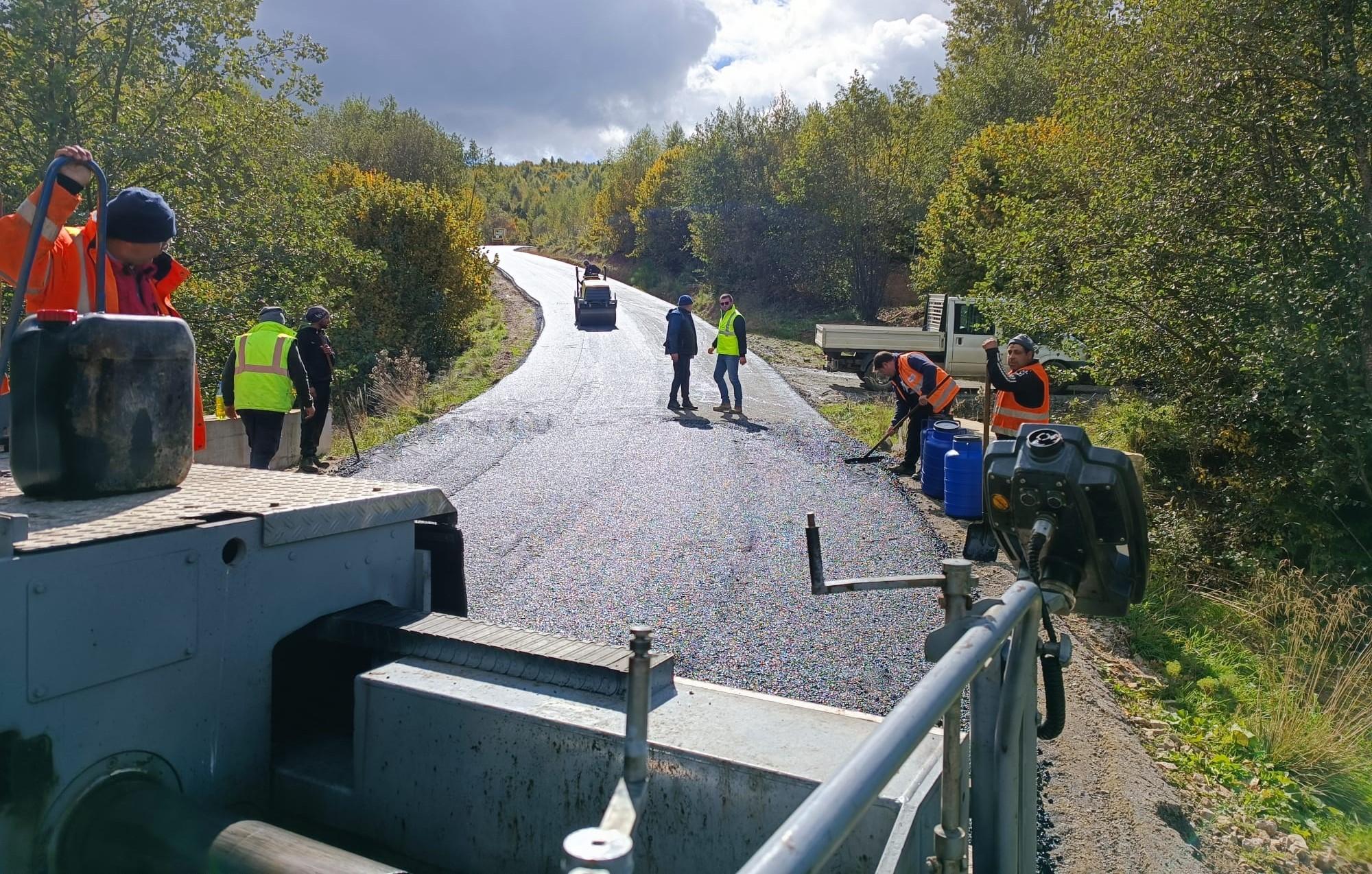 DJ 103Z lac Miresti Tureni 3.jpg