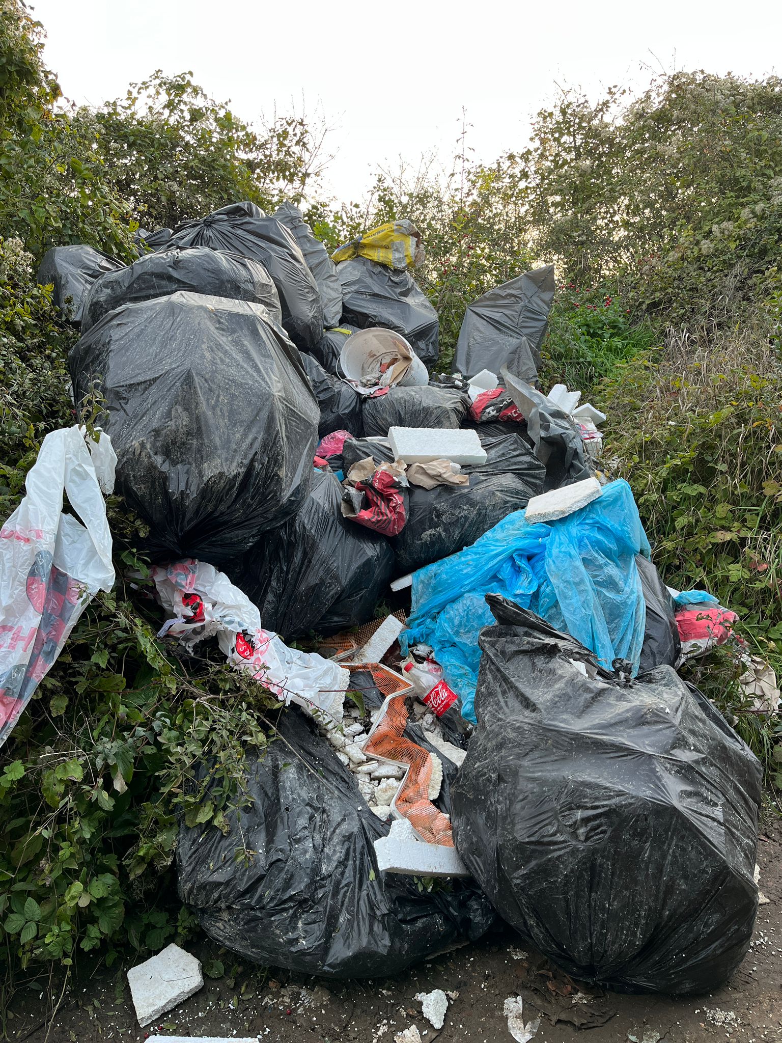 Munte de gunoi în cartierul Dâmbu Rotund făcut de ”bipezi” nesimțiti ...