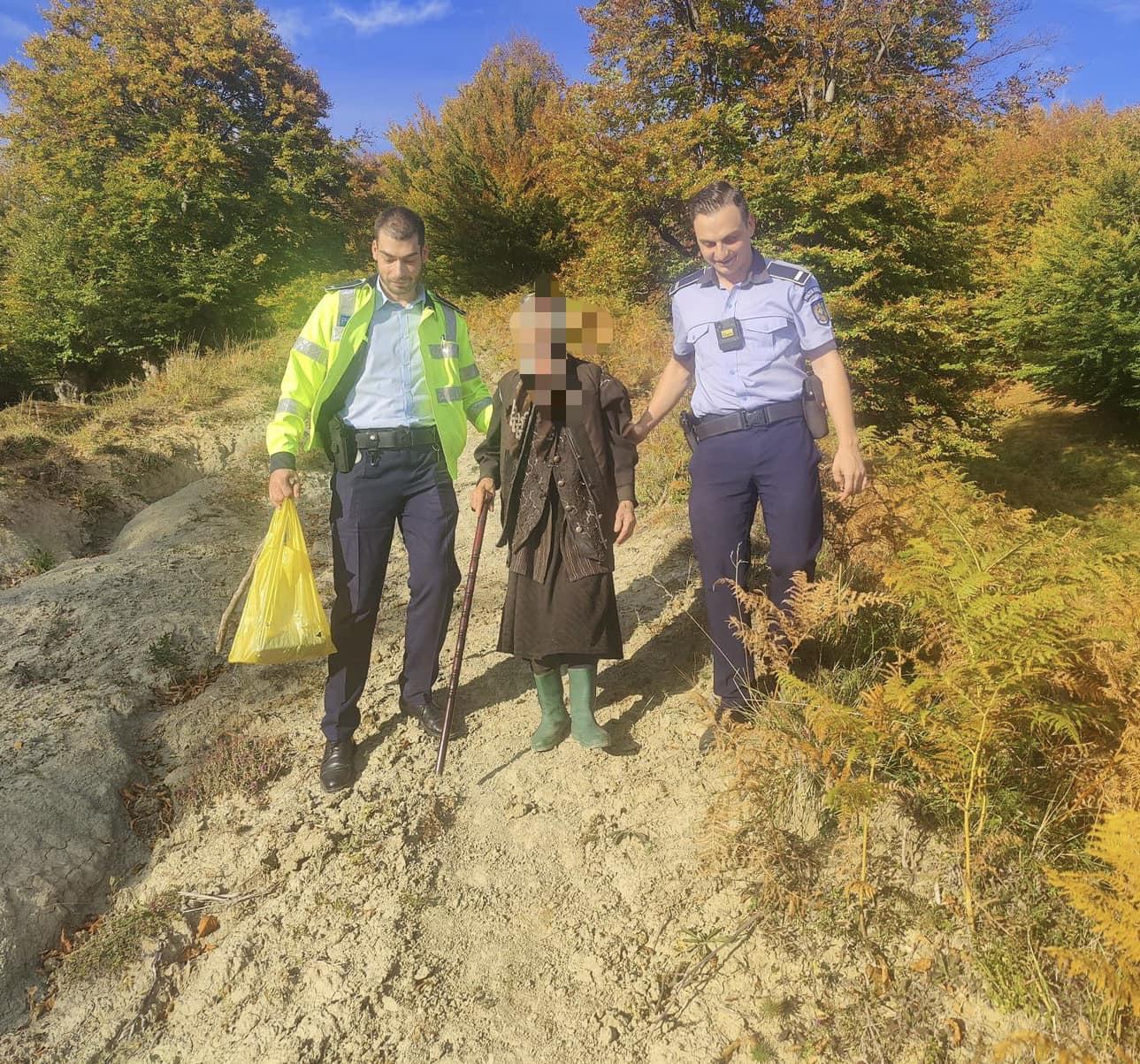 batranica pierduta.jpg