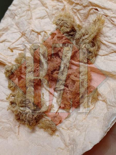 sfoara in ciorba 1.jpg