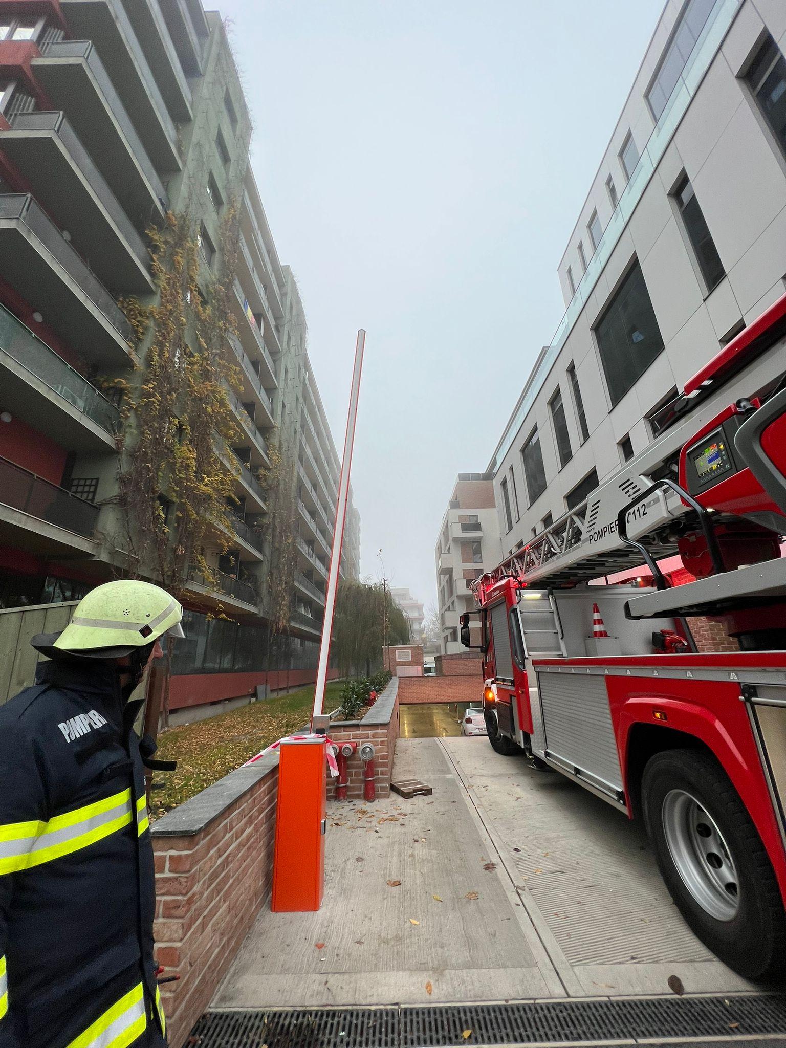 WhatsApp Image 2022-11-14 at 08.11.36.jpeg