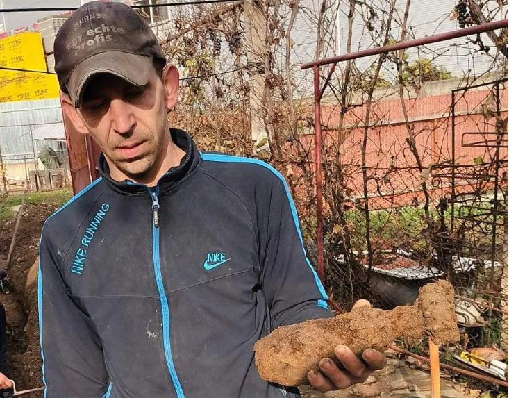 turdean cu proiectil.PNG