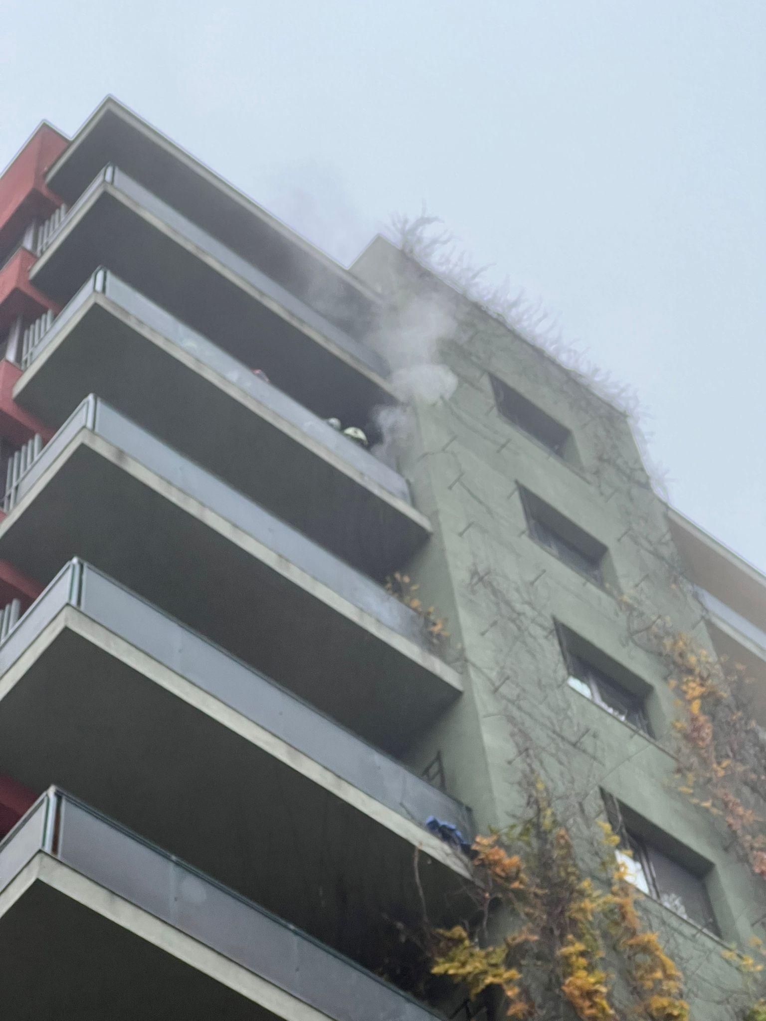 WhatsApp Image 2022-11-14 at 08.11.37.jpeg