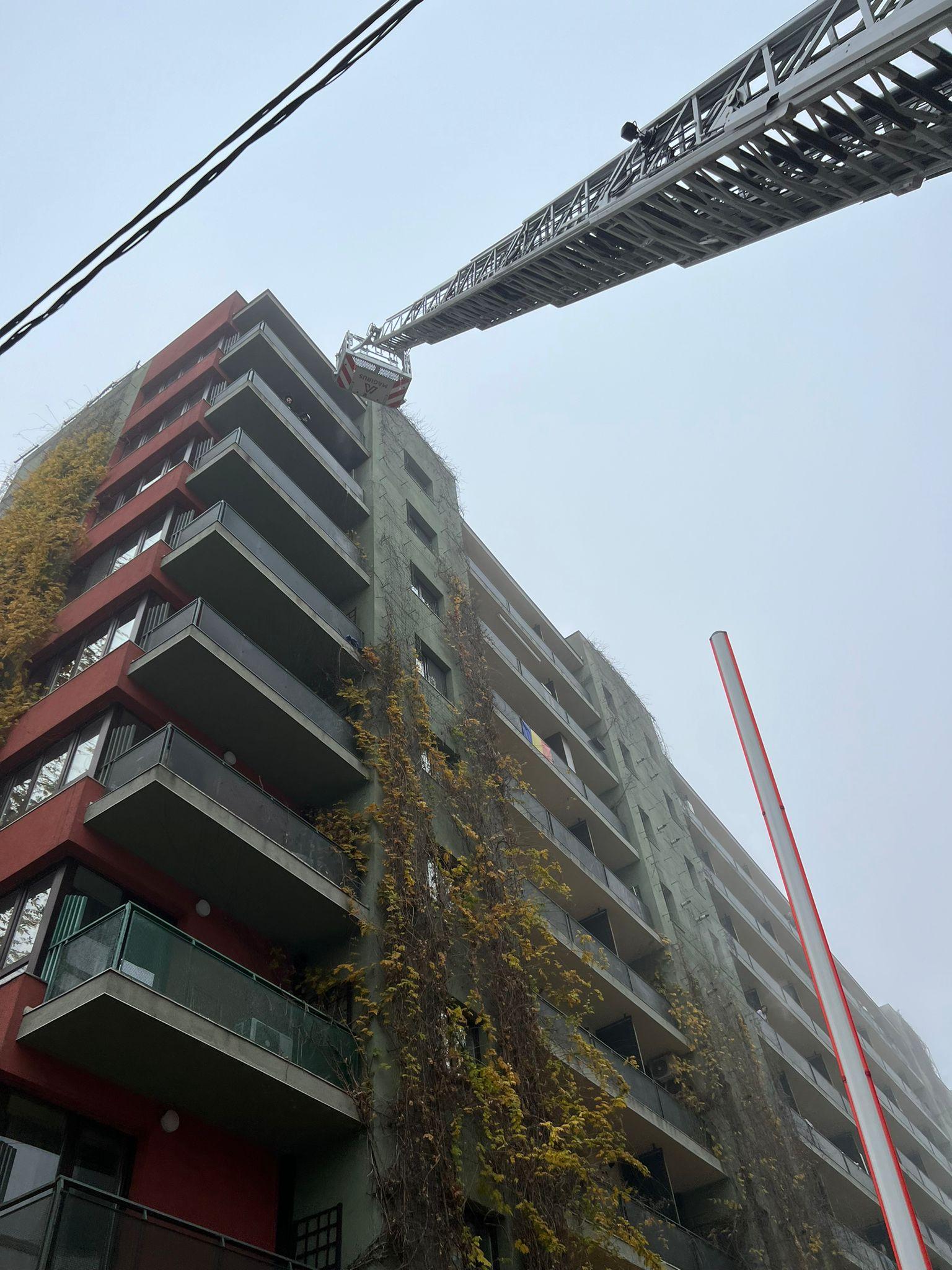 WhatsApp Image 2022-11-14 at 08.11.35.jpeg