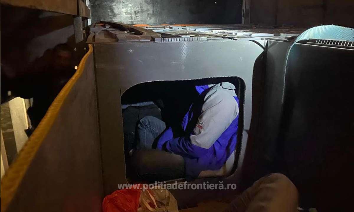 imigranti in cutii 1.jpg