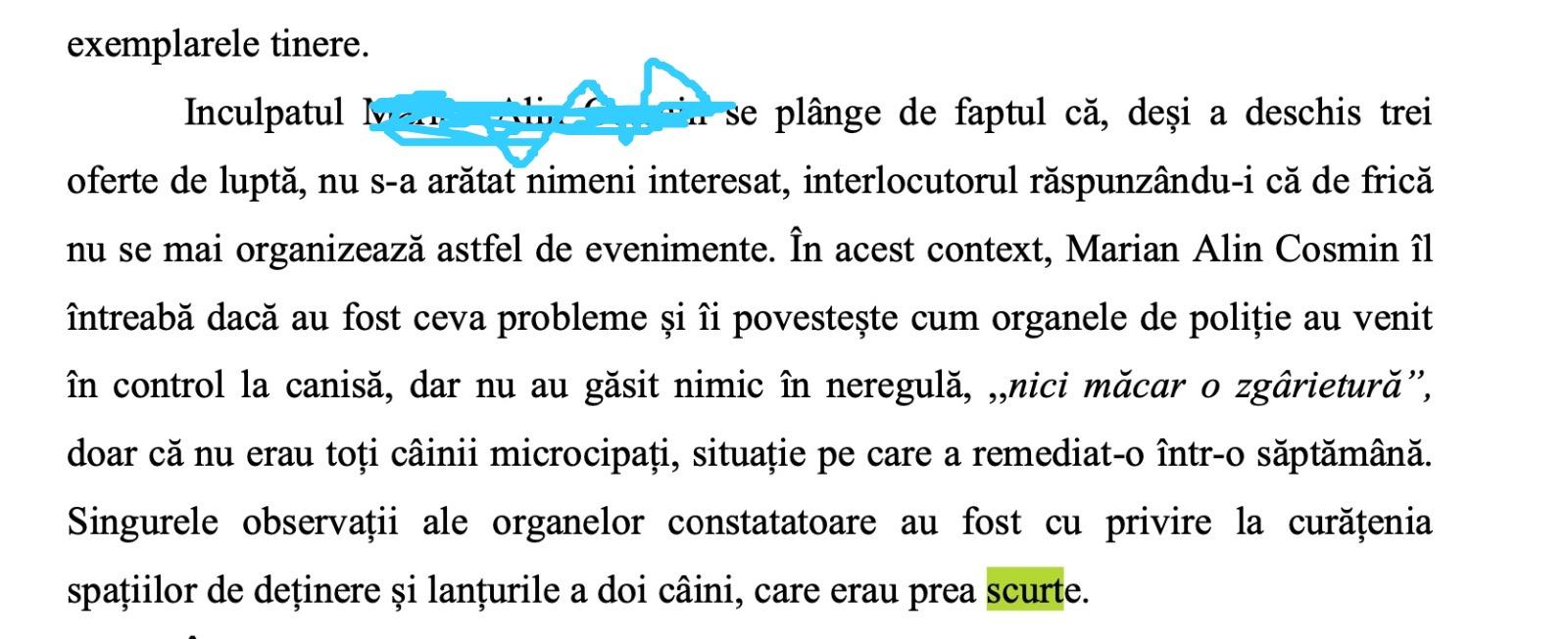 WhatsApp Image 2023-01-13 at 09.17.34.jpeg