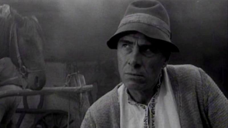 mitica morometii.jpg