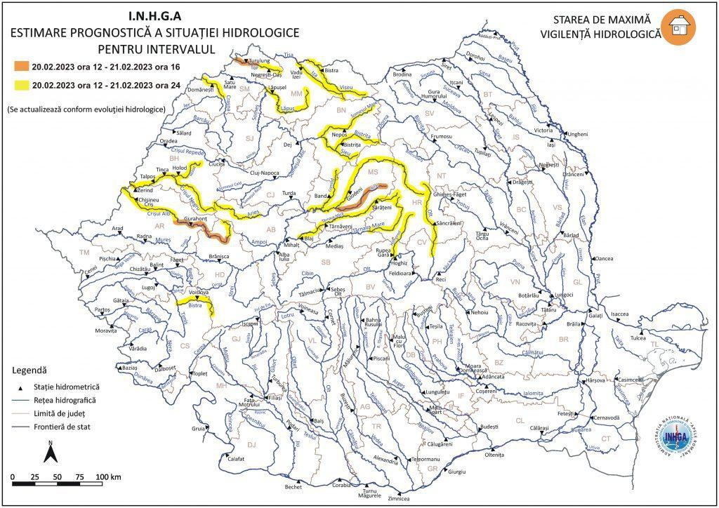 bazin cod galben.jpg