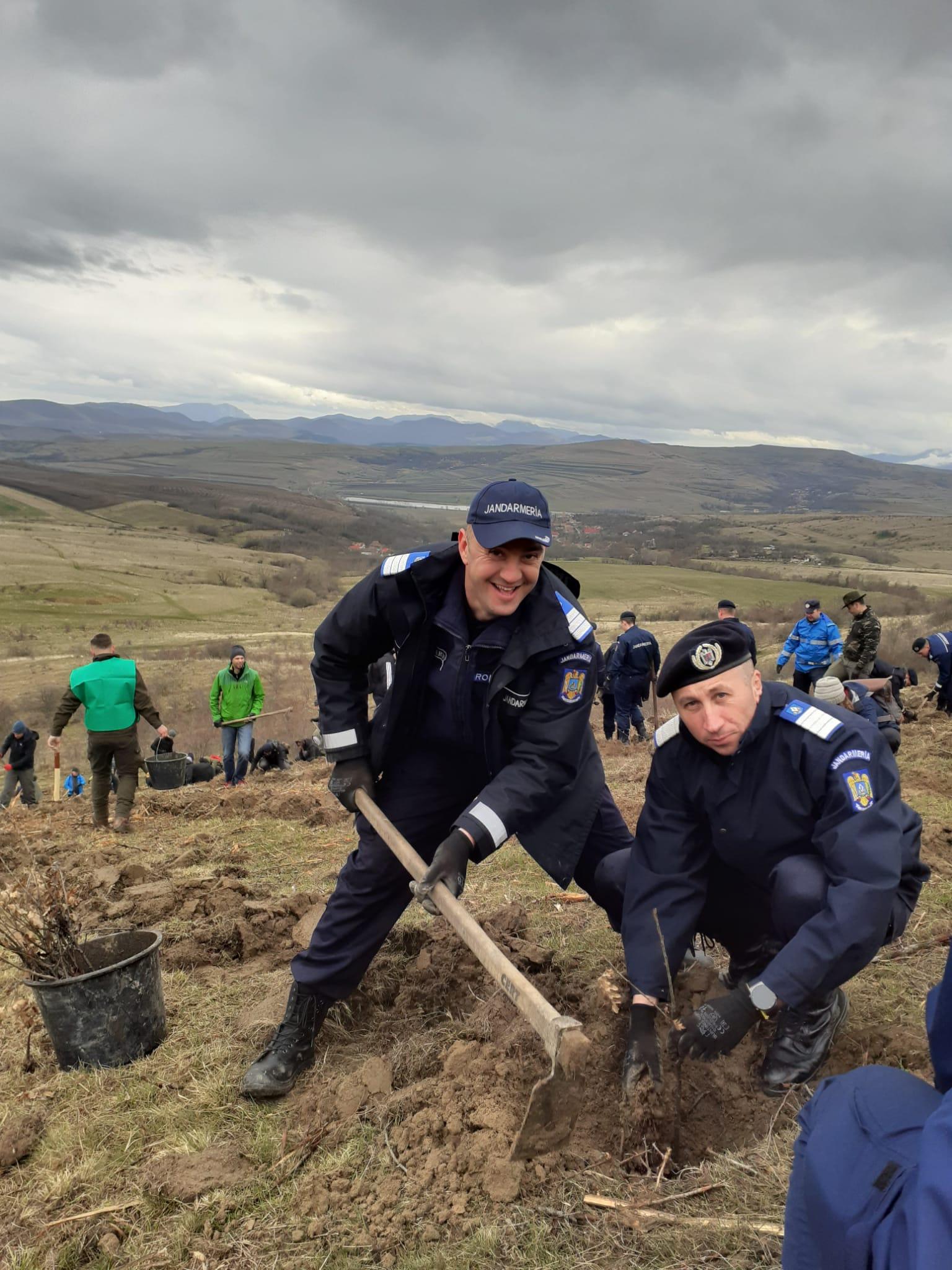 jandarmii planteaza puieti.jpg