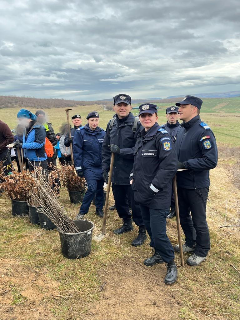 jandarmeria planteaza.jpg