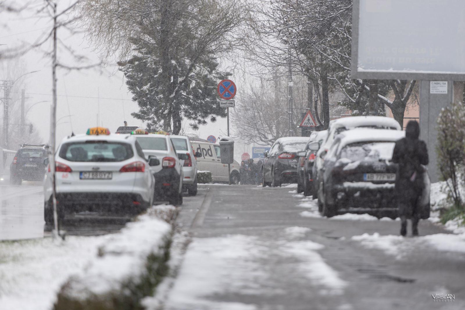 WhatsApp Image 2023-04-04 at 13.58.02.jpeg