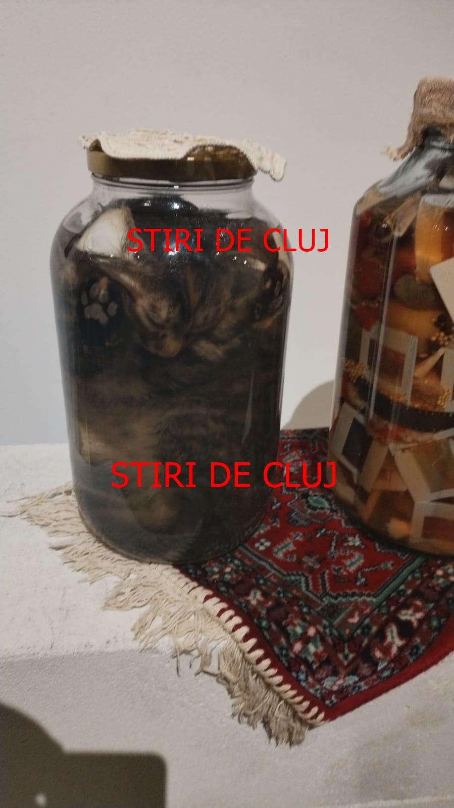 WhatsApp Image 2023-04-05 at 10.28.33.jpeg