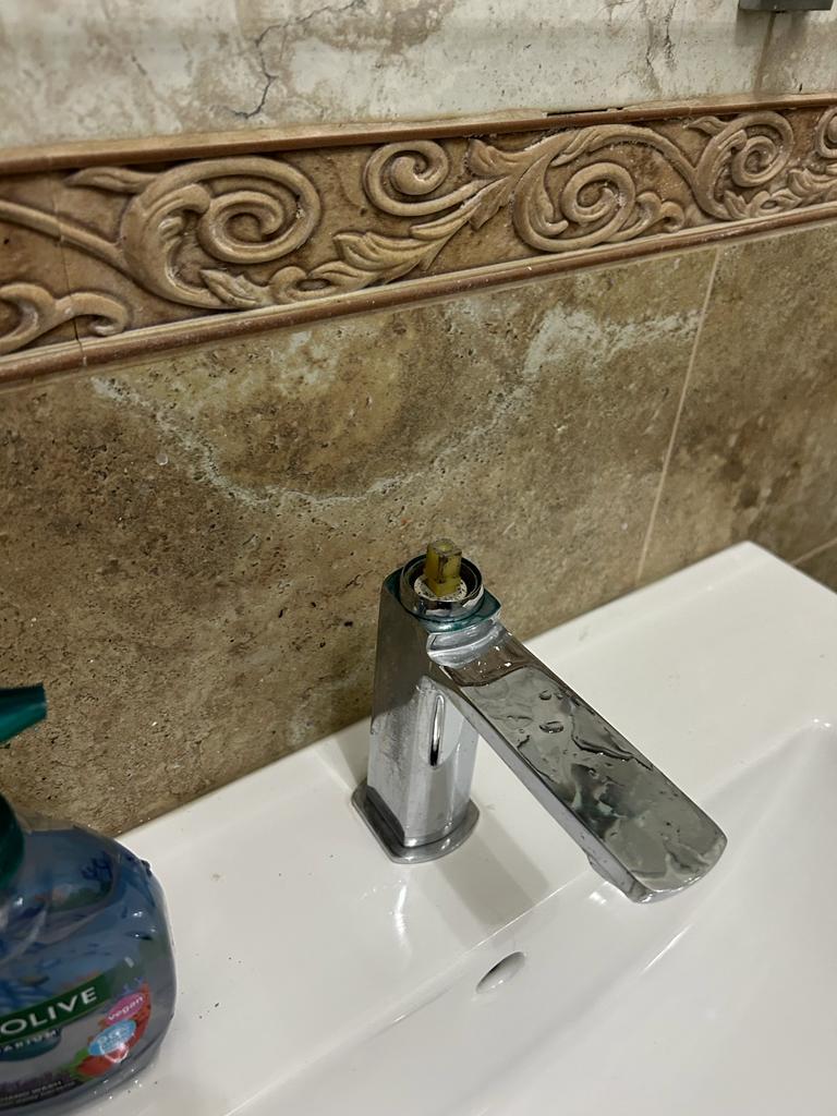 WhatsApp Image 2023-04-13 at 16.14.39.jpeg