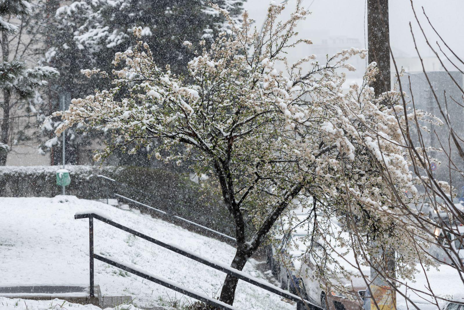 WhatsApp Image 2023-04-04 at 13.58.05.jpeg