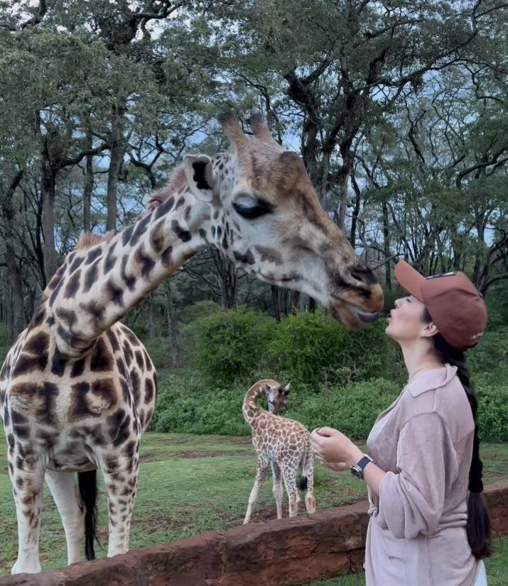 vladuta-lupau-ironizata-pe-instagram-pentru-modul-in-care-a-hranit-o-girafa-cum-se-distreaza-in-africa_4.jpg
