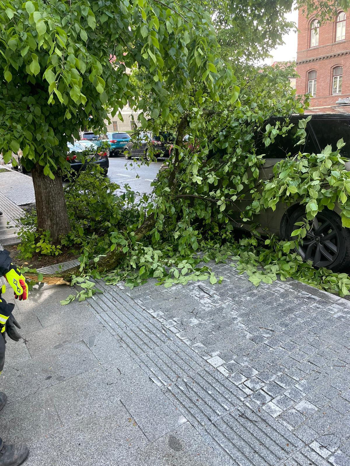 WhatsApp Image 2023-05-21 at 19.24.29.jpeg