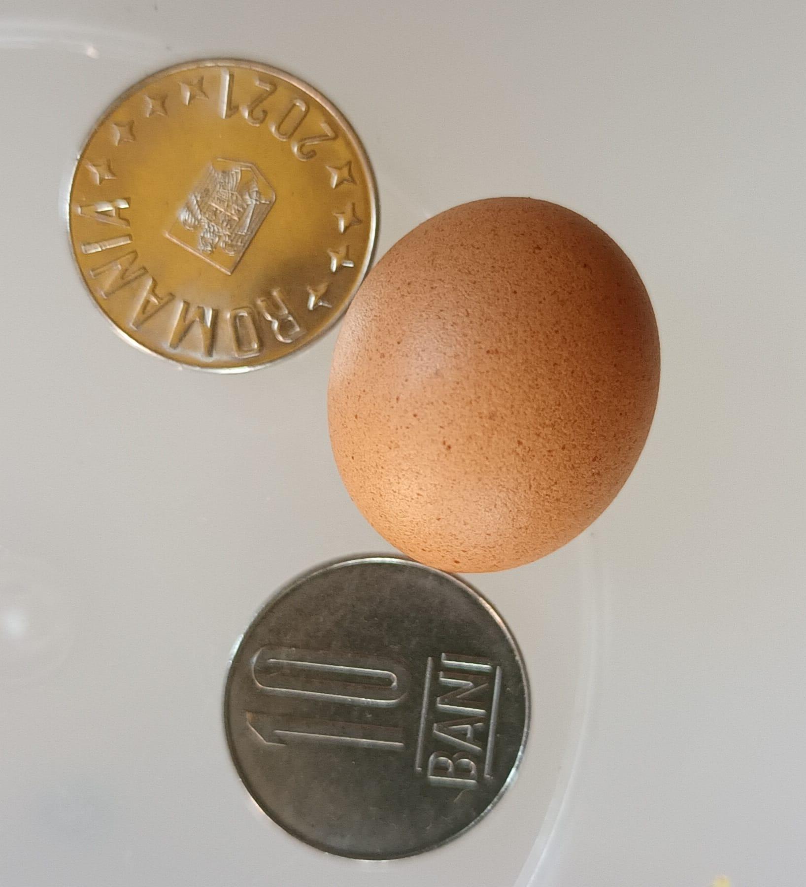 WhatsApp Image 2023-06-03 at 22.32.24.jpeg