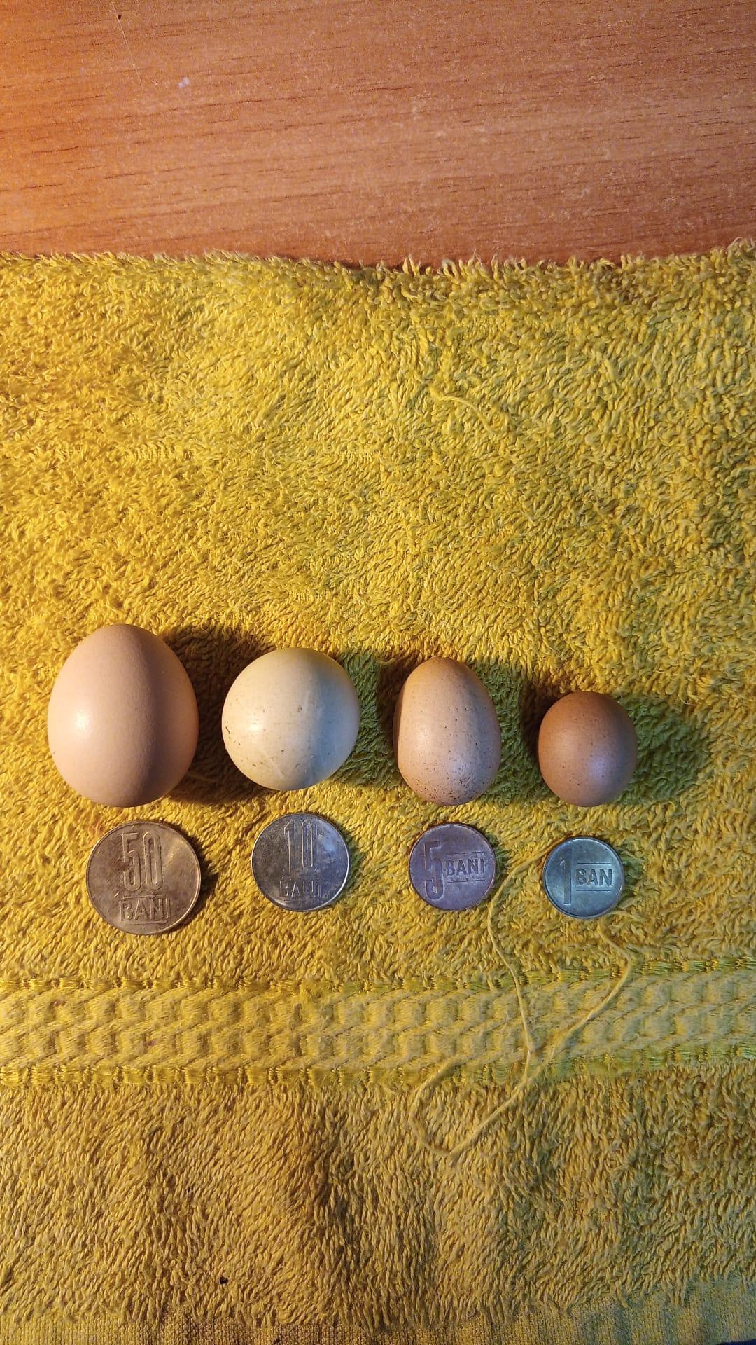 WhatsApp Image 2023-06-03 at 22.32.40.jpeg