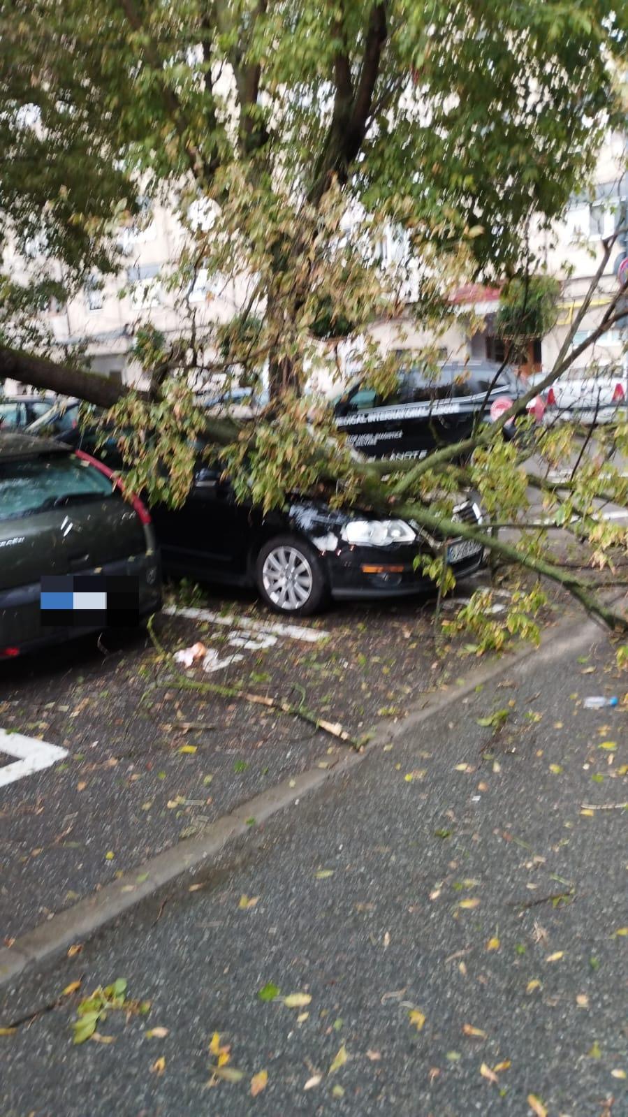 WhatsApp Image 2023-07-25 at 20.34.58.jpeg