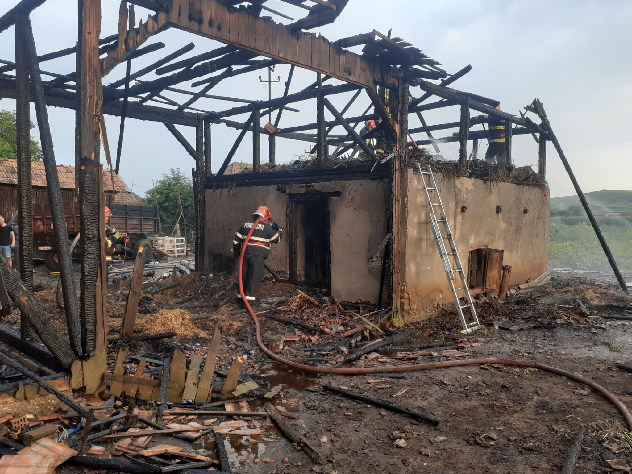 WhatsApp Image 2023-07-25 at 20.06.53.jpeg