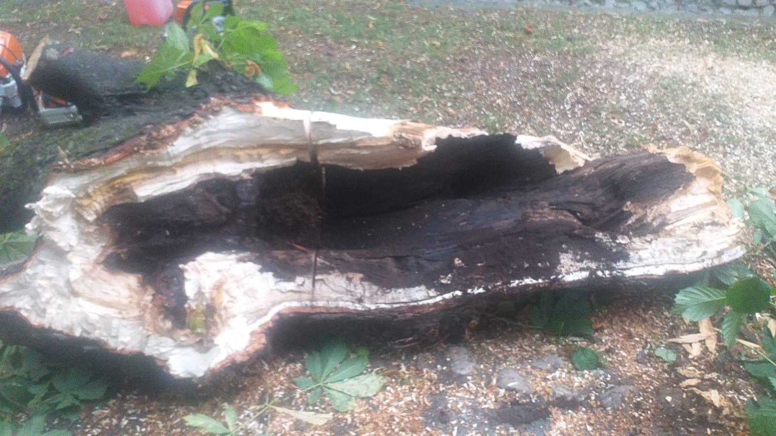 WhatsApp Image 2023-07-28 at 15.10.23.jpeg