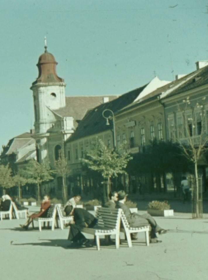 363427076_9836874706383905_7524729255034643276_n (1).jpg