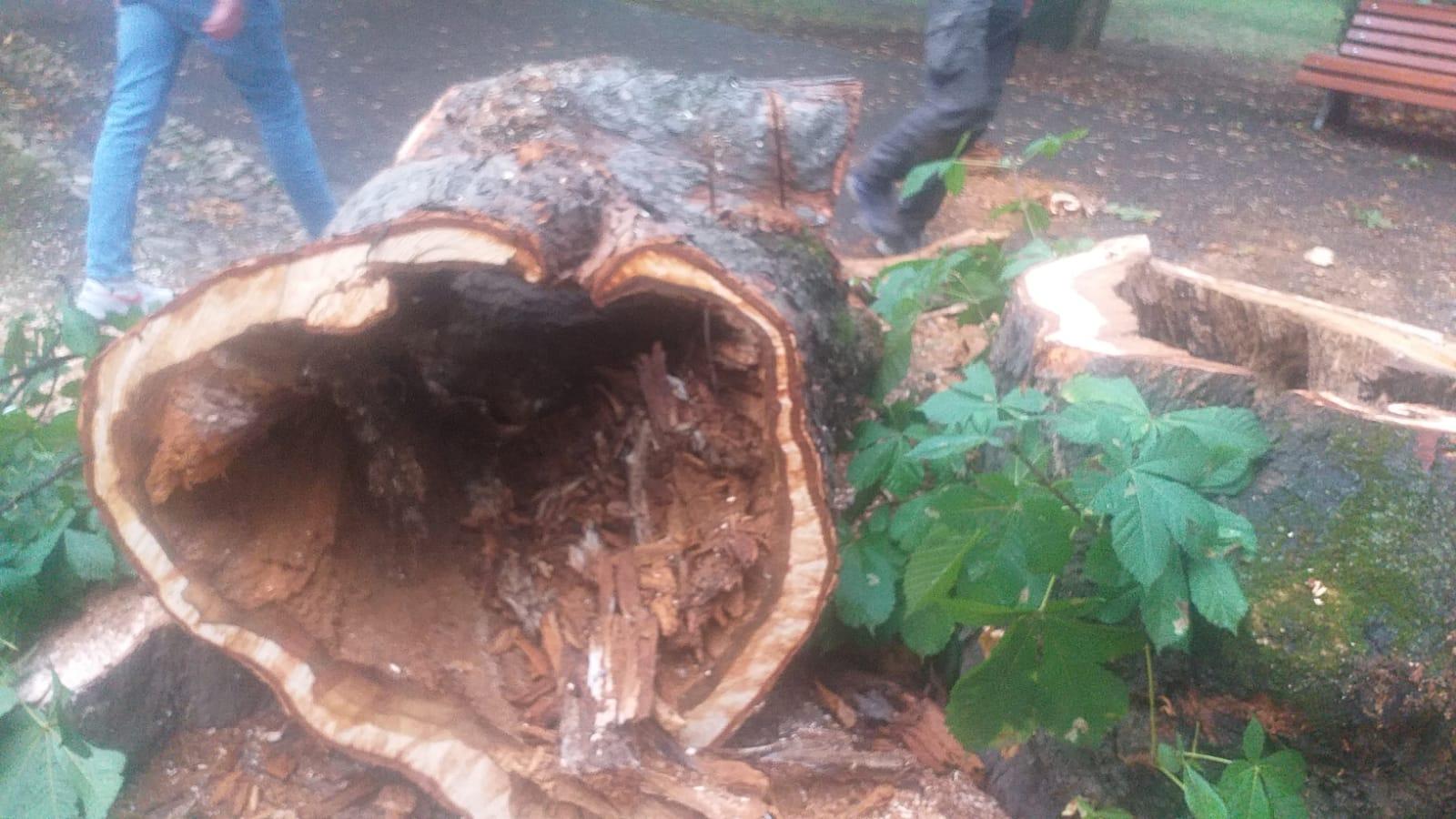 WhatsApp Image 2023-07-28 at 15.10.24.jpeg