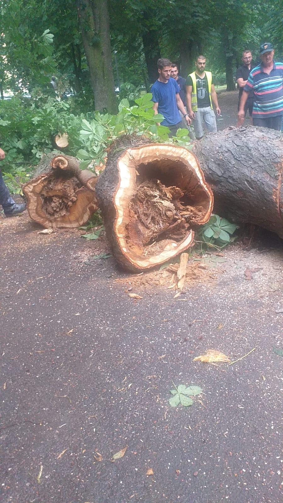 WhatsApp Image 2023-07-28 at 15.10.23 (1).jpeg