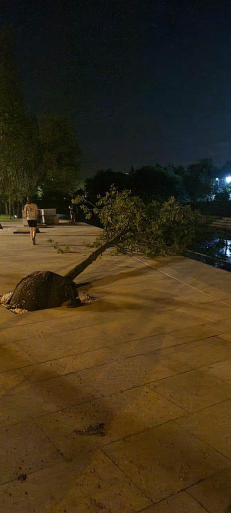 WhatsApp Image 2023-08-31 at 11.06.51.jpg