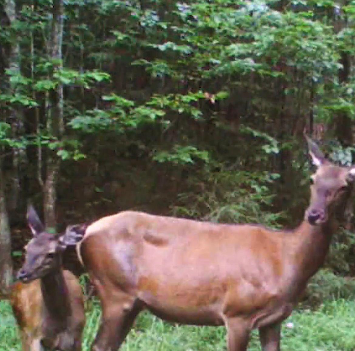 WhatsApp Image 2023-09-10 at 11.39.27.jpg