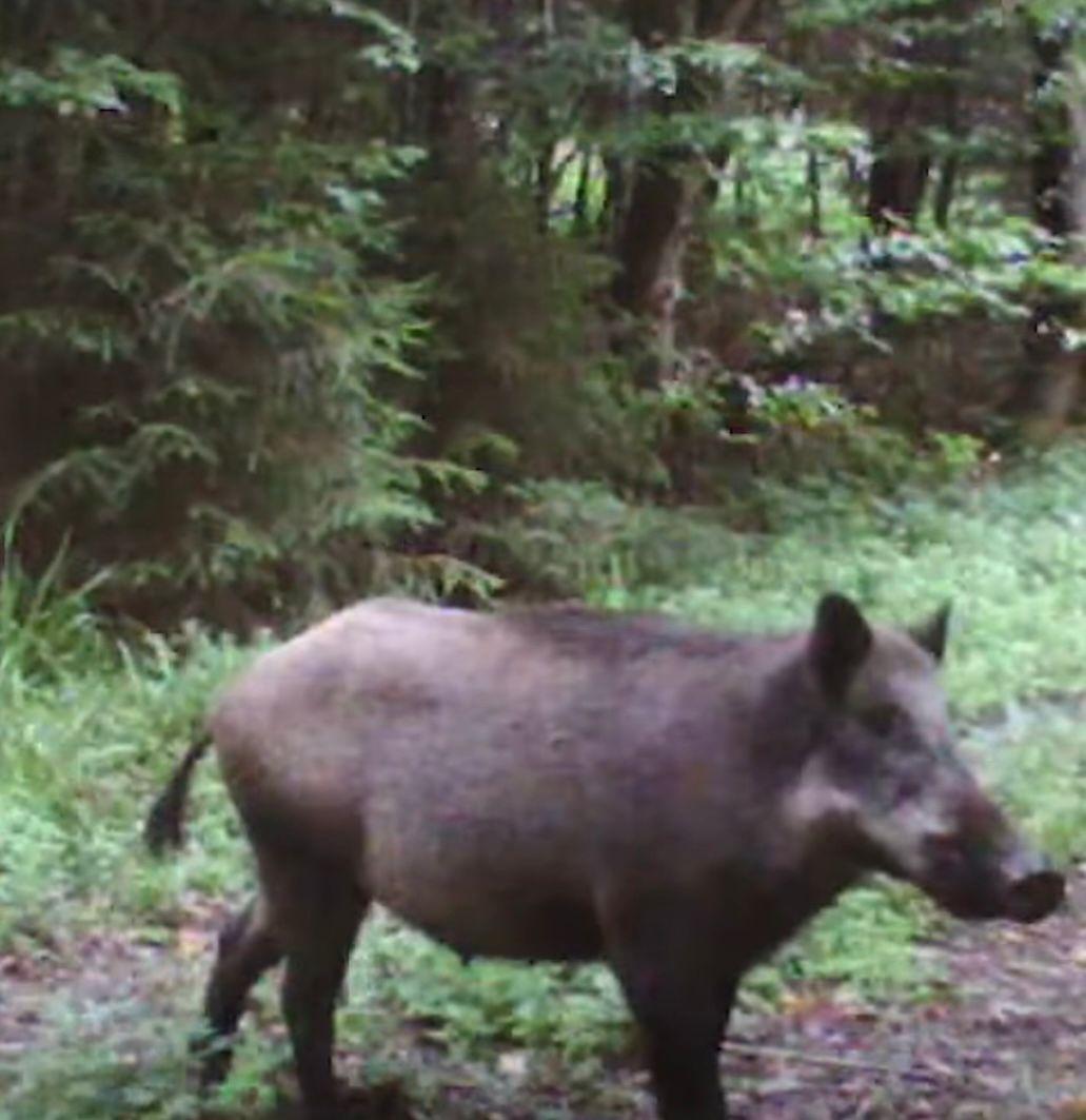 WhatsApp Image 2023-09-10 at 11.39.26.jpg