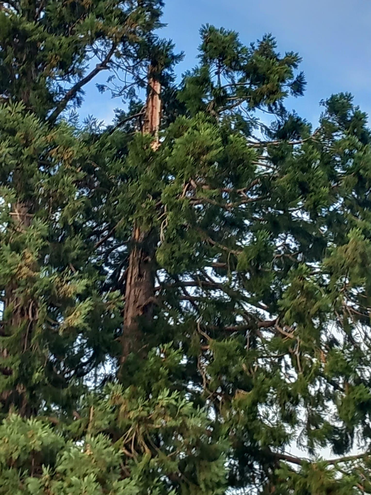 WhatsApp Image 2023-10-26 at 09.50.12.jpeg