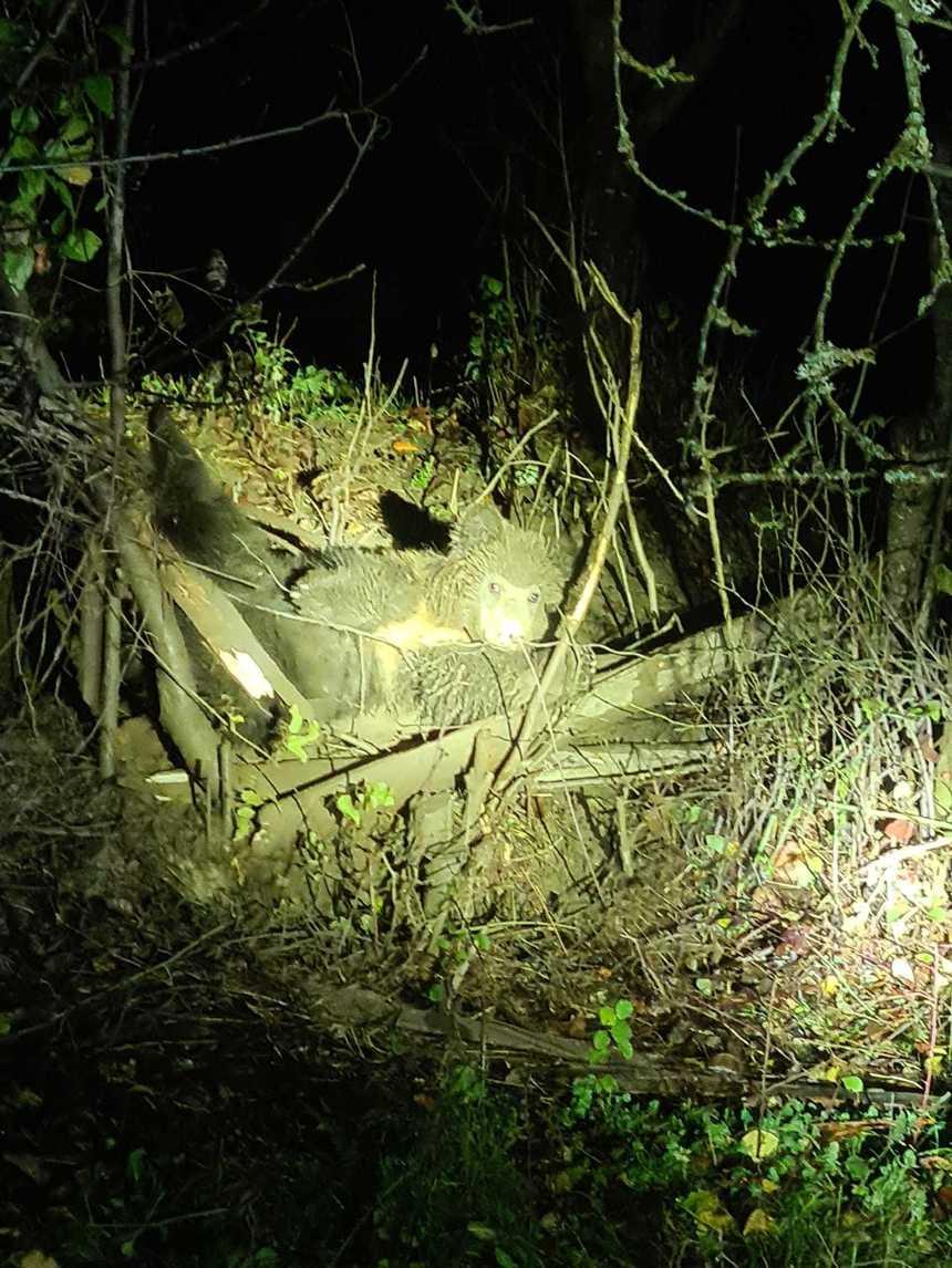 whatsapp-image-2023-10-27-at-07-32-53 (1).jpg