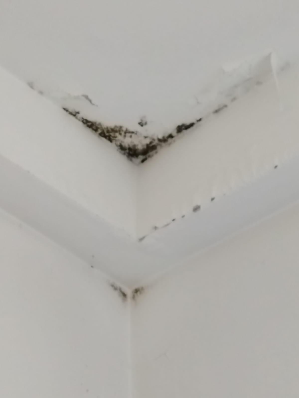 WhatsApp Image 2023-10-16 at 15.14.34 (1).jpeg