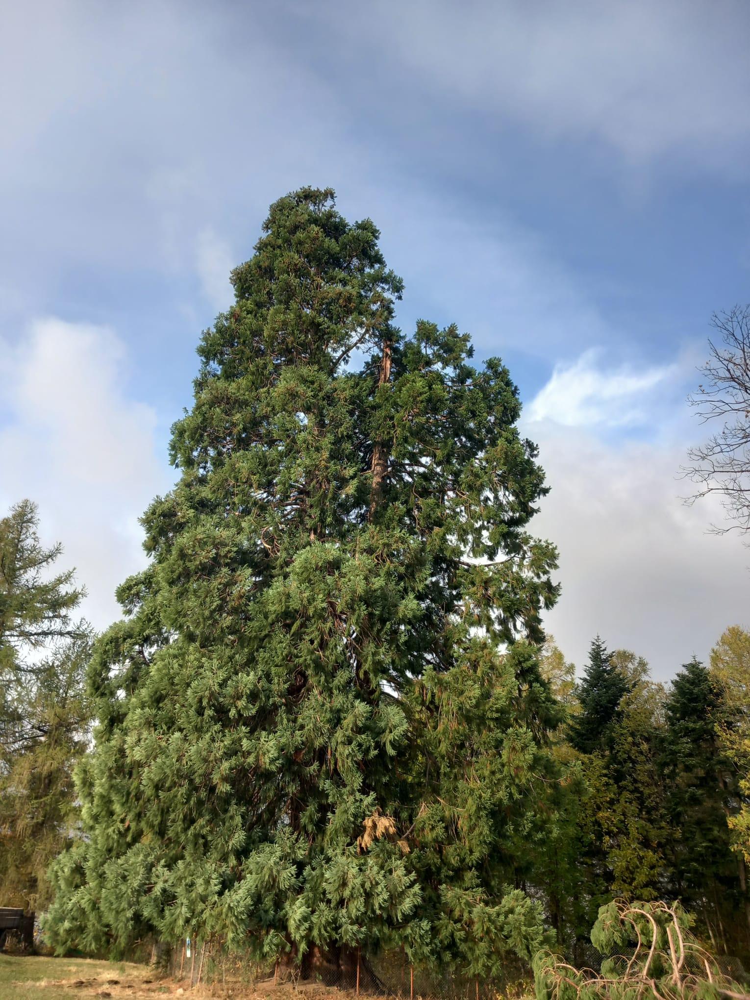 WhatsApp Image 2023-10-26 at 09.49.43 (2).jpeg