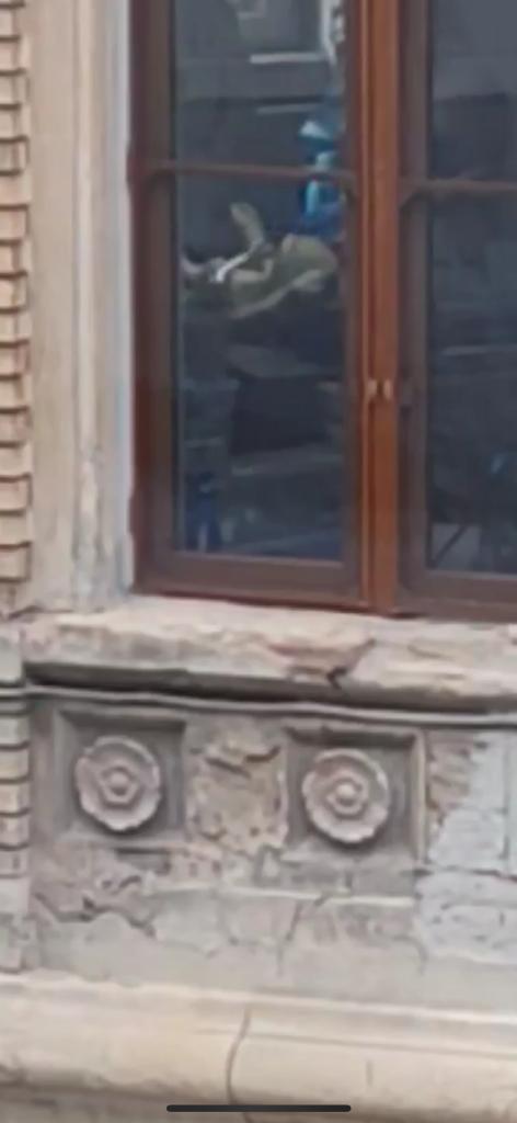 WhatsApp Image 2023-11-07 at 09.53.40.jpeg