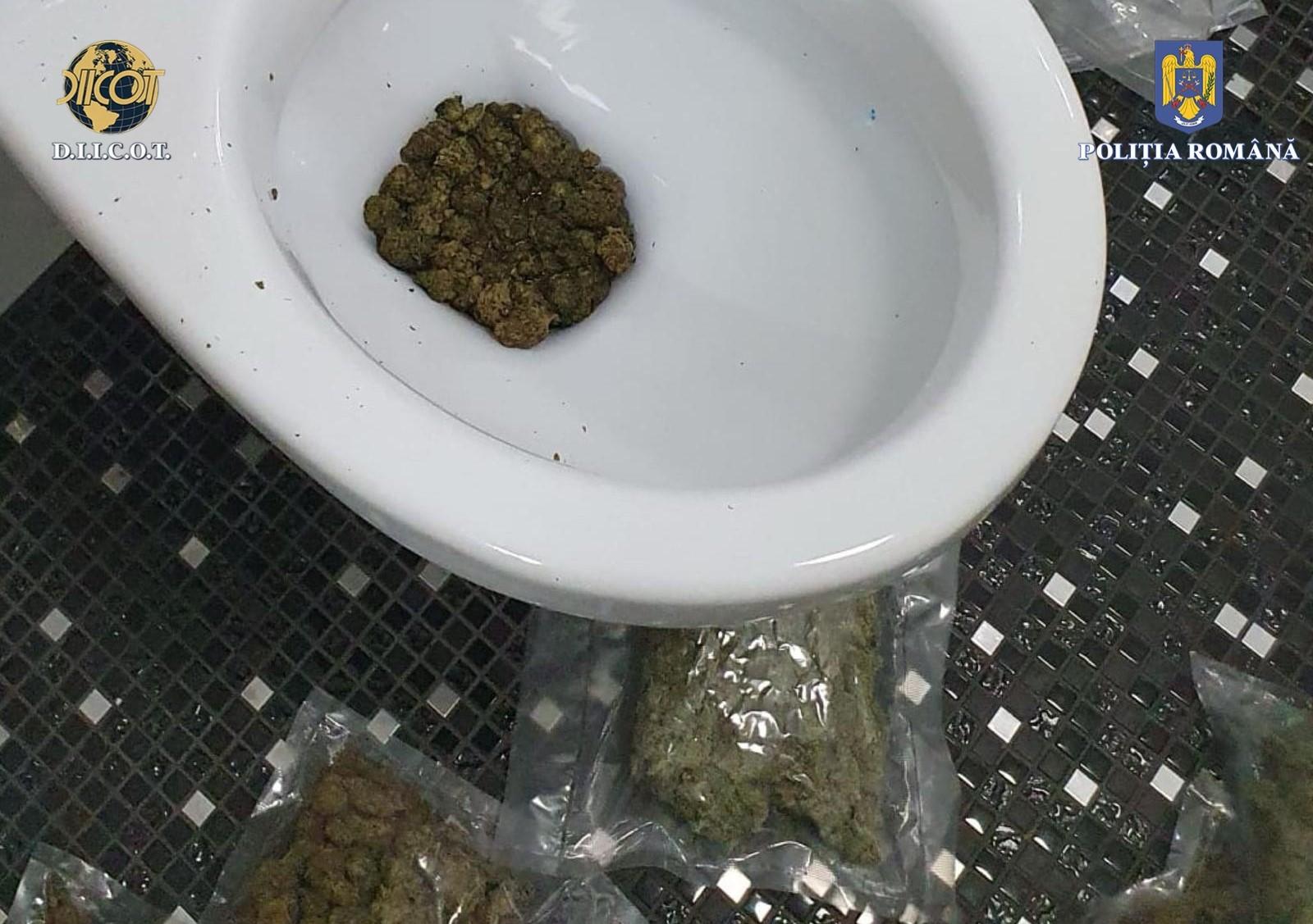 WhatsApp Image 2023-12-05 at 13.30.31 (1).jpeg