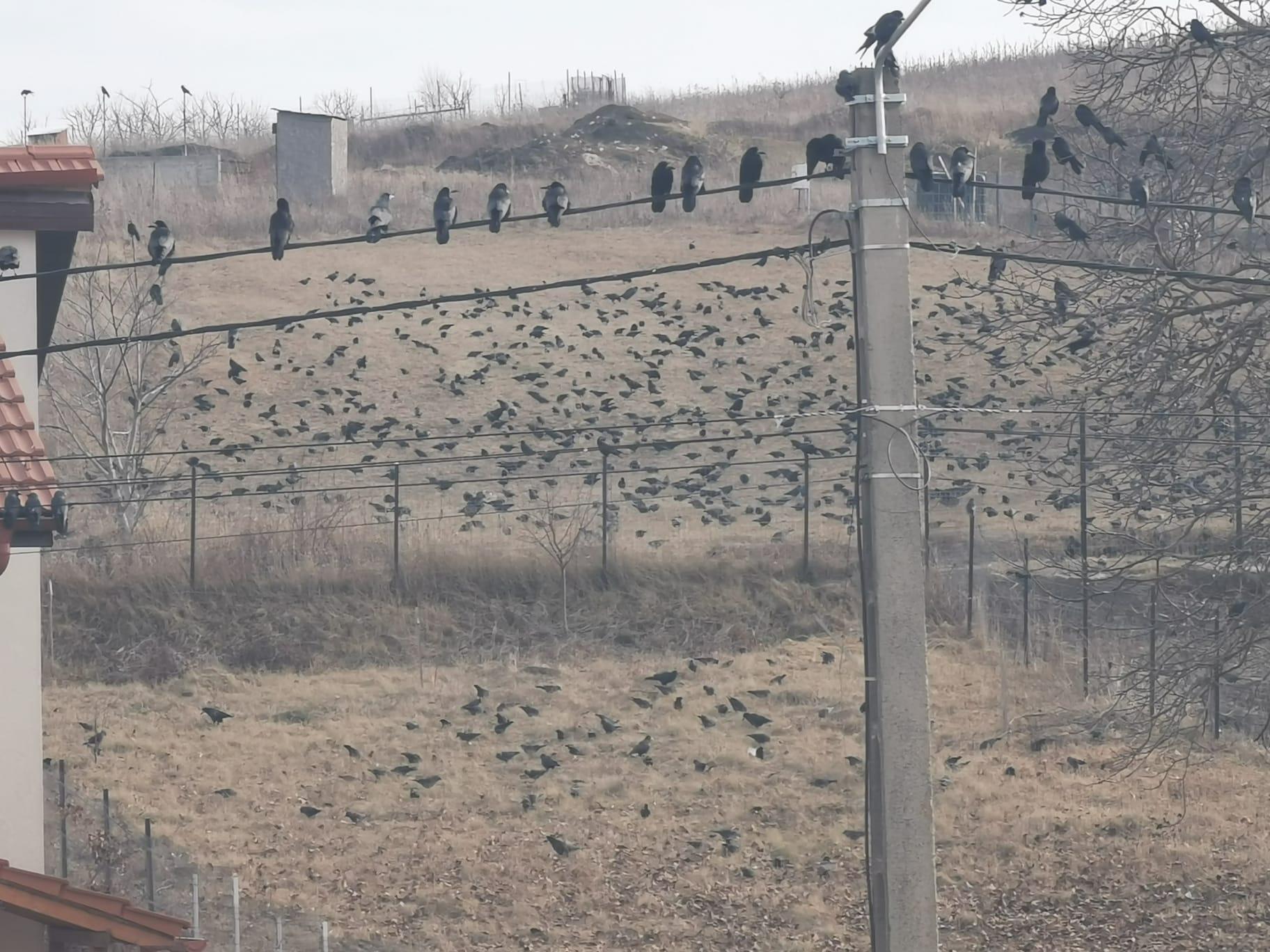 WhatsApp Image 2024-01-13 at 14.13.06.jpeg