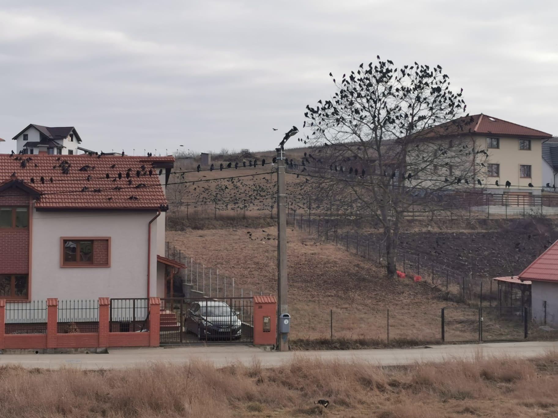 WhatsApp Image 2024-01-13 at 14.11.41.jpeg