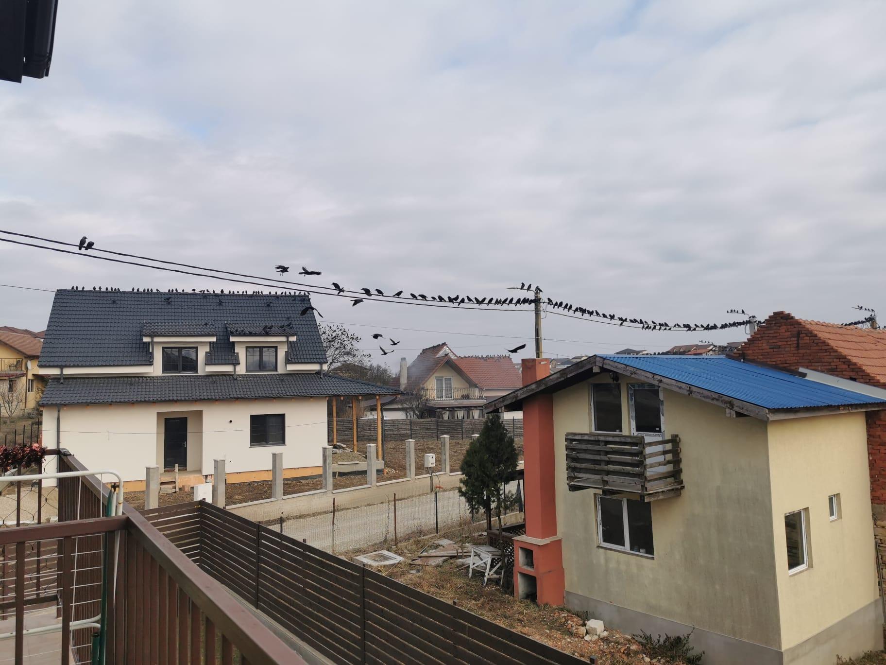 WhatsApp Image 2024-01-13 at 14.09.08 (1).jpeg